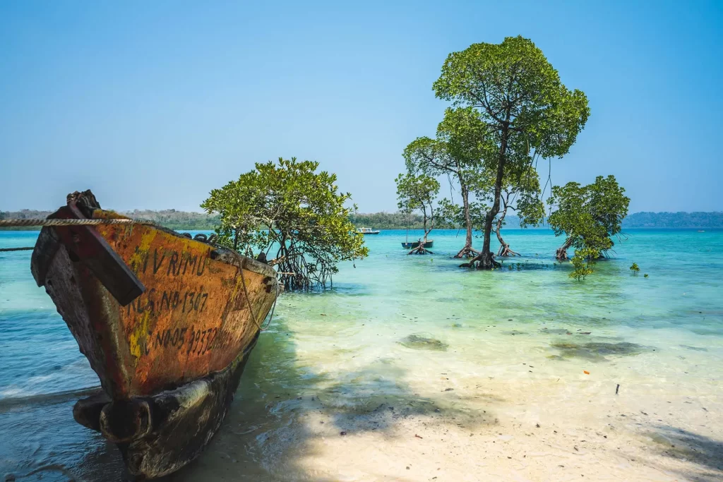 5 Nights 6 Days Andaman Package