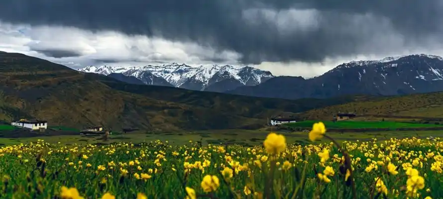 Valley_of_Flowers_National_Park,_Uttarakhand