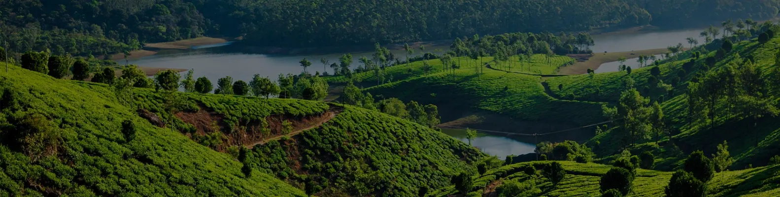 India Kerala-2