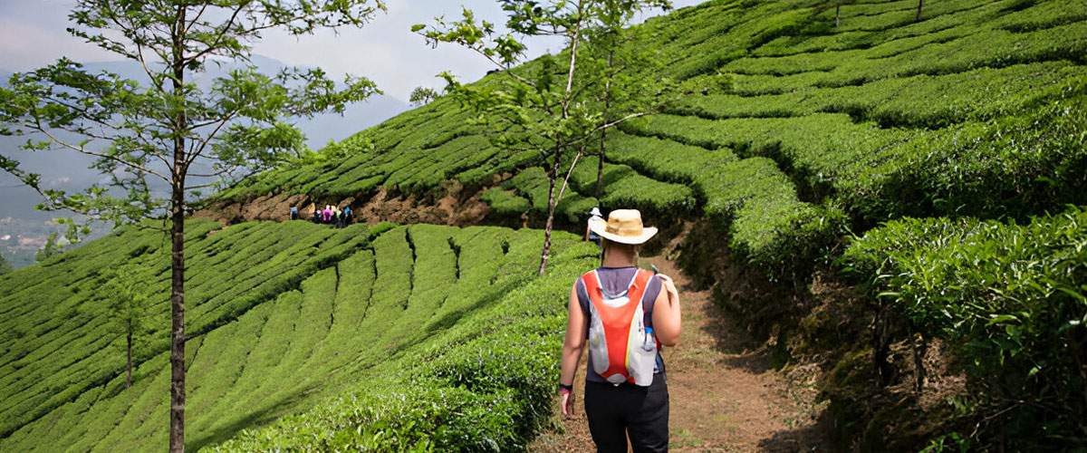Munnar