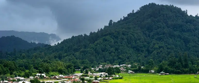 Ziro Valley