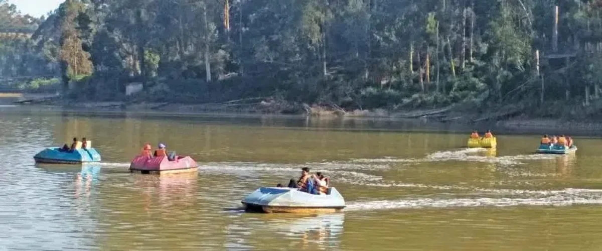 4. Ooty, Tamil Nadu – A Classic Hill Station Experience