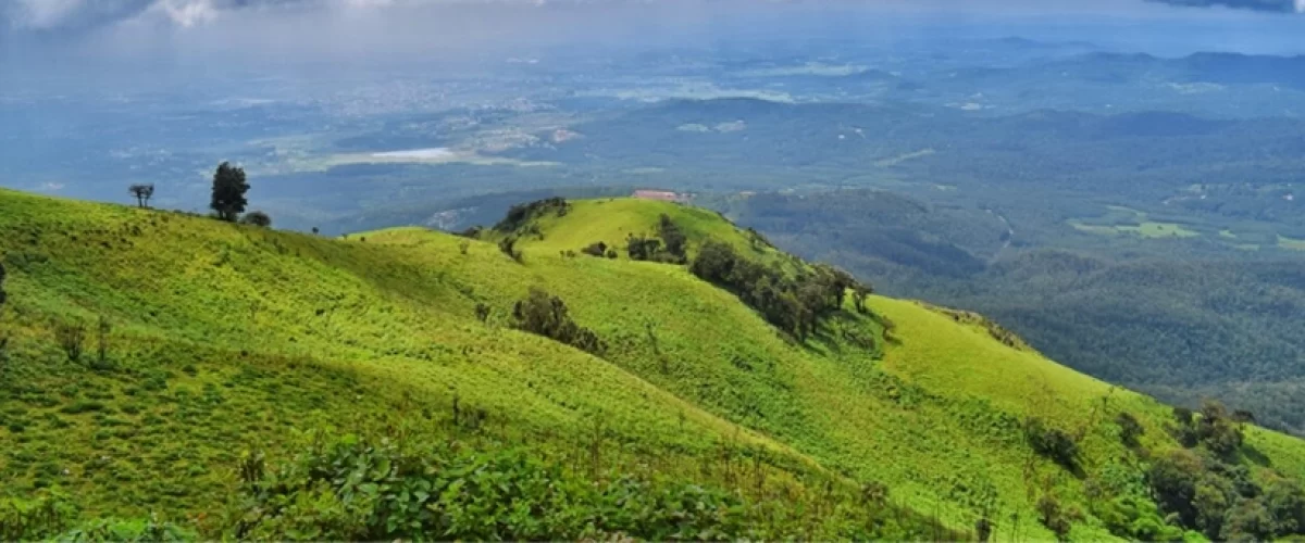 Coorg