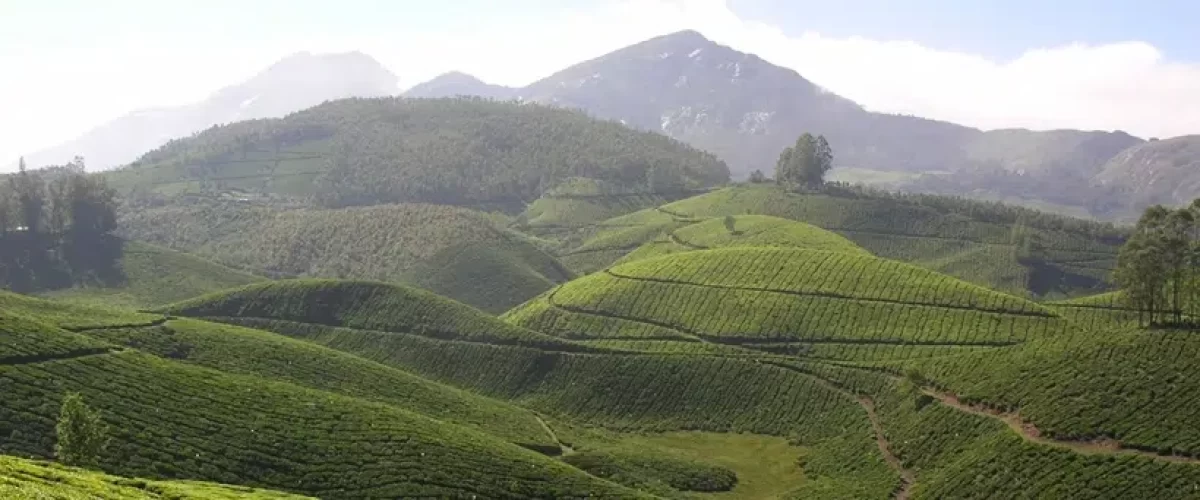 Munnar