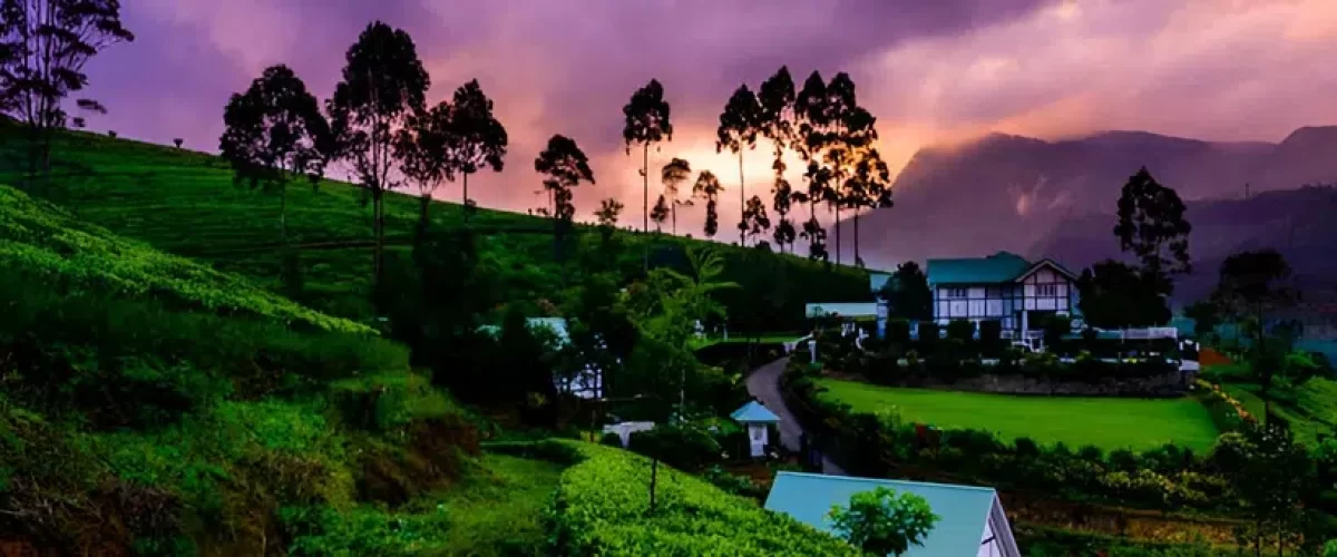 Nuwara-Eliya