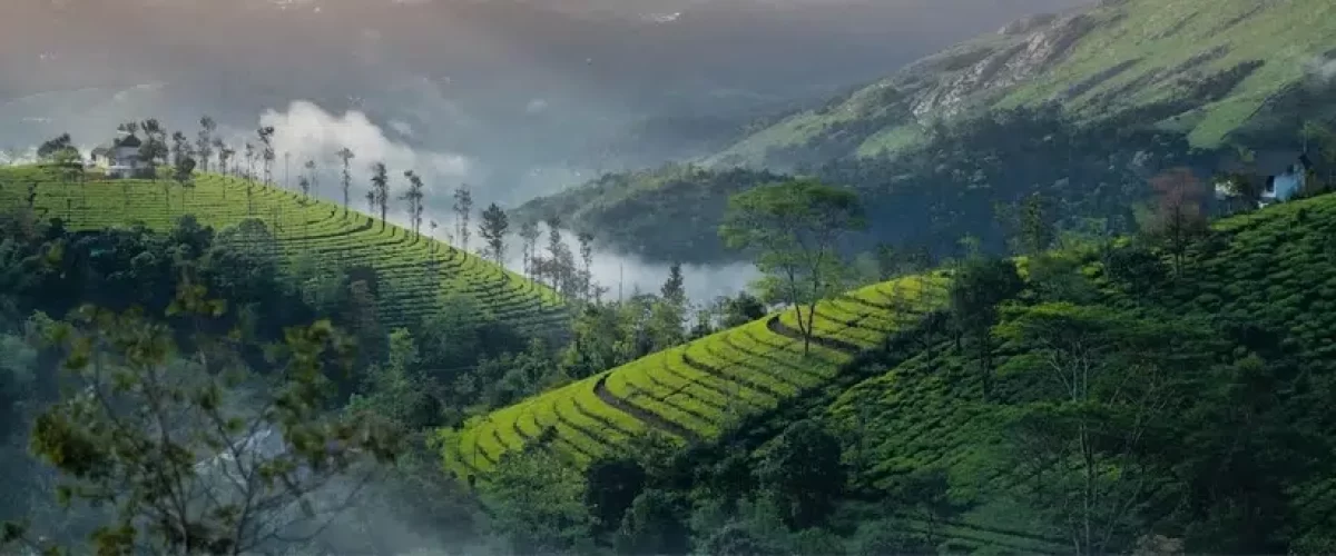 Wayanad